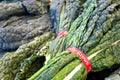 Bundles of Organic Kale