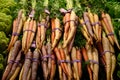 Bundles of rainbow carrots at market