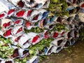 Bundles of red roses packaged in newpapers in the flower market (Pak Klong Talad) in Bangkok Thailand Royalty Free Stock Photo