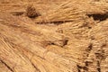 Bundles of Roof Thatching Grass Royalty Free Stock Photo