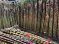 Bundles of sugar cane stalks Royalty Free Stock Photo