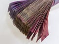 Bundles of Ukrainian hryvnia banknotes. Ukrainian hryvnia banknotes, large amount in packs