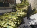 Bundles of wild asparagus for sell on the street Royalty Free Stock Photo