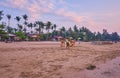 Bungalos on Chaung Tha beach, Myanmar