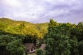 Bungalow house in the middle of green forest