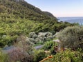 A bungalow house in trees in Kabak Bay Mugla Royalty Free Stock Photo