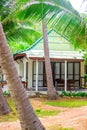 Bungalow in a palm forest surrounded by tropical greenery. Travel and tourism in Asia