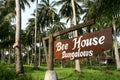 Bungalow in palm trees forest