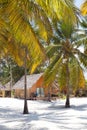 Bungalow on perfect white sandy beach, Paje, Zanzibar, Tanzania Royalty Free Stock Photo