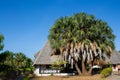 Bungalow on seaside