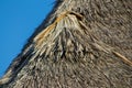 Bungalows on the beach with dry grass roof