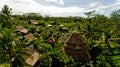 Bungalows in the jungle. Royalty Free Stock Photo