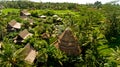 Bungalows in the jungle. Royalty Free Stock Photo