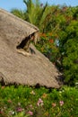 Bungalow with dry grass roof