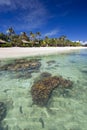 Bungalows on tropical beach, with coral reef