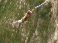 Bungee Jump Royalty Free Stock Photo