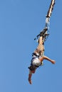 Bungee jumping