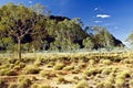 Bungle Bungles (Purnululu) - Purnululu National Park