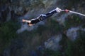 Bungy Jumping Royalty Free Stock Photo