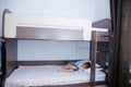 Bunk bed in child room. little girl alone lying on bed. chocolate shade in the interior with white walls. Royalty Free Stock Photo
