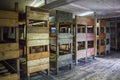 Bunk beds inside the barracks in KL Stutthof, Poland