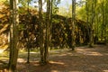 bunker ruin of the wolf's lair or in german Wolfsschanze the Nazi headquarters near Ketrzyn in Poland