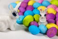 Bunnies With Speckled Candy Eggs On Snowy White