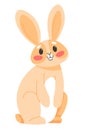 Bunny animal with long ears, hare or rabbit mammal