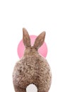 Baby Bunny with pink bubble gum balloon