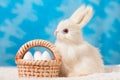 Bunny with basket of Easter eggs on a background of blue sky .