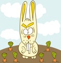 Bunny carrot field