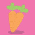 bunny carrot twin 11