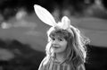 Bunny child boy face. Child boy hunting easter eggs. Cute kid in rabbit costume with bunny ears having easter in park.