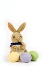 Bunny with Colored Eggs - vertical