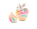 Bunny in colorful easter egg