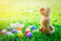 Bunny with colorful Easter eggs