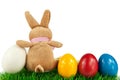 Bunny with colorful Easter eggs Royalty Free Stock Photo