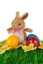 Bunny with colorful Easter eggs Royalty Free Stock Photo