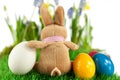 Bunny with colorful Easter eggs Royalty Free Stock Photo