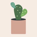 Bunny ears cactus in flowerpot flat illustration