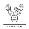 Bunny ears cactus linear icon