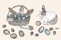 Bunny and Easter eggs basket. Birds Feathers. Engraved vintage style. Greeting card. Line art ester rabbit Decoration Royalty Free Stock Photo