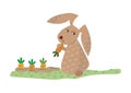 Bunny Eating Carrot