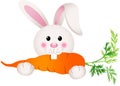 Bunny Eating Carrot