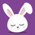 BUNNY EMOJI SLEEP 10