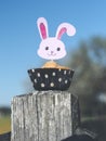 Bunny face cupcakes - creative cupcake ideas