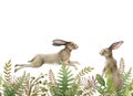Bunny in forest herbs seamless border. Watercolor illustration. Cute bunny jump and stand in the grass on white