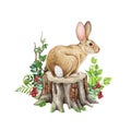 Bunny on the forest tree stump with fern and berries. Hand drawn illustration. Cute bunny sitting on the stump. Wildlife