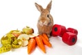 Bunny with fresh vegetables Royalty Free Stock Photo