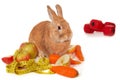 Bunny with fresh vegetables Royalty Free Stock Photo